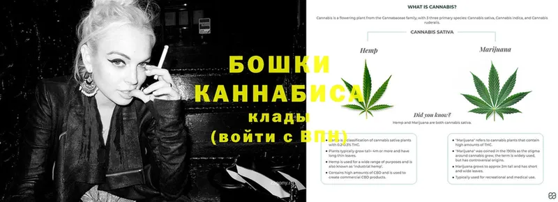 Каннабис OG Kush  Серов 